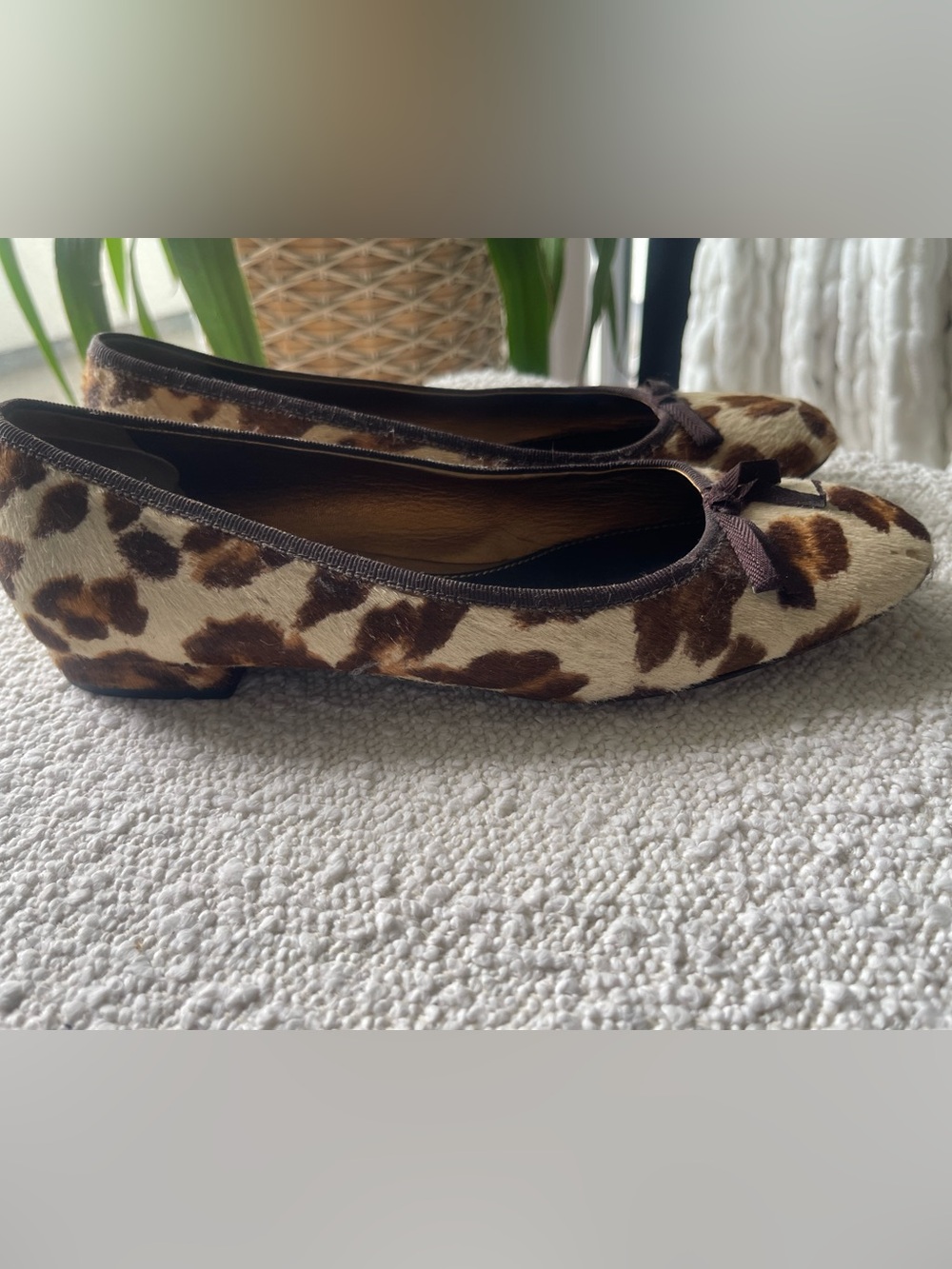 Prada Leopard-Print Ballet Flats in Brown and Beige - Picture 8 of 8